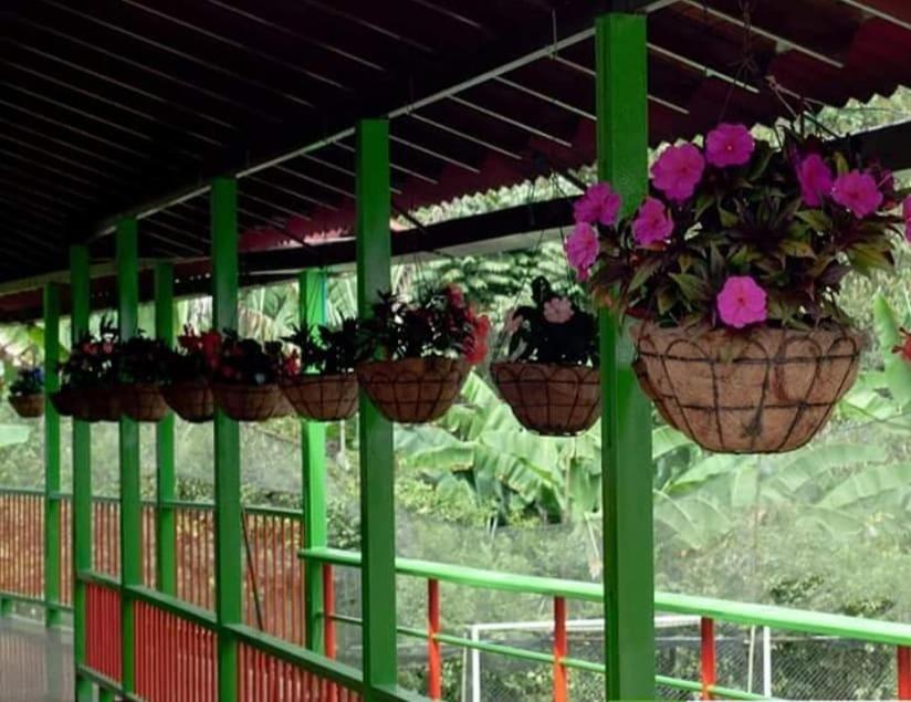 Ecohotel Colibri Salento Luna Park Ngoại thất bức ảnh